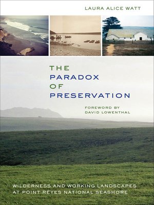 cover image of The Paradox of Preservation